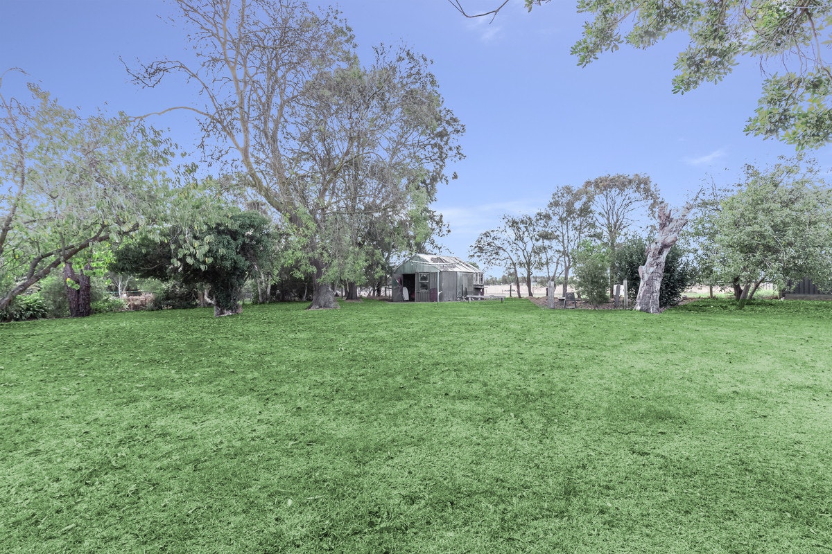 Image of grass