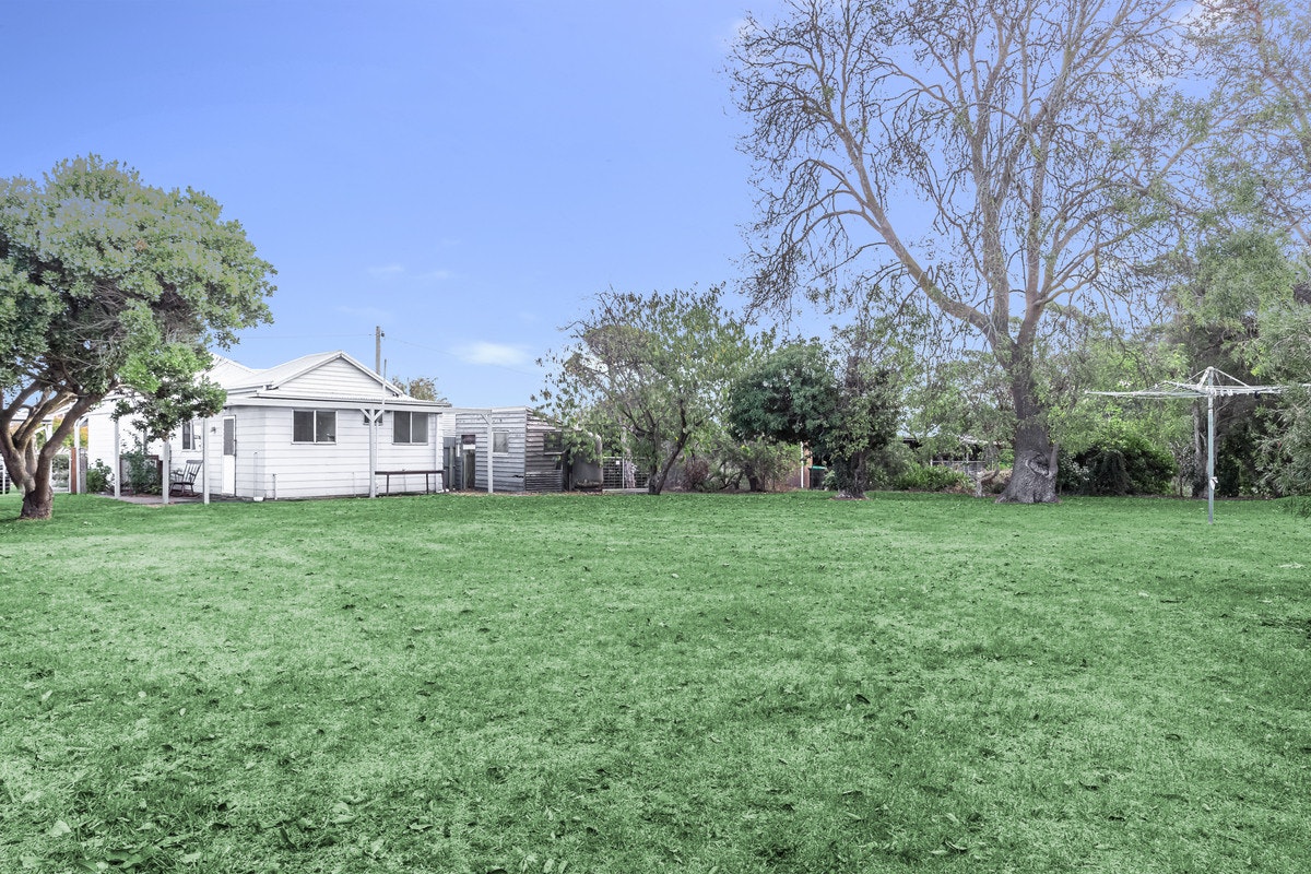 Image of grass