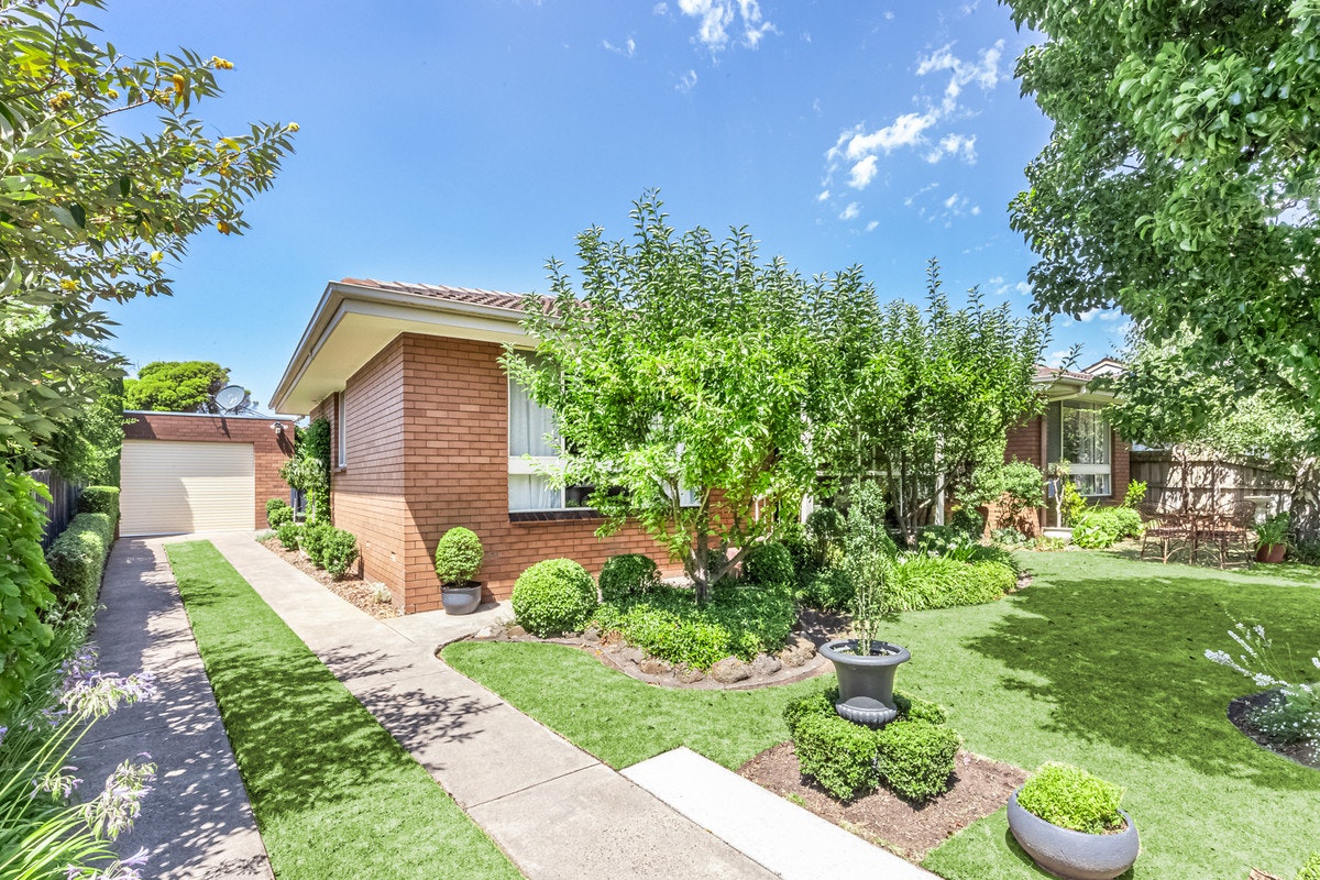 Image of backyard