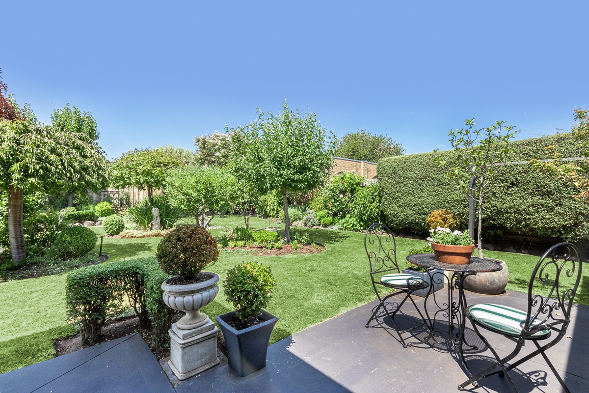 Image of backyard