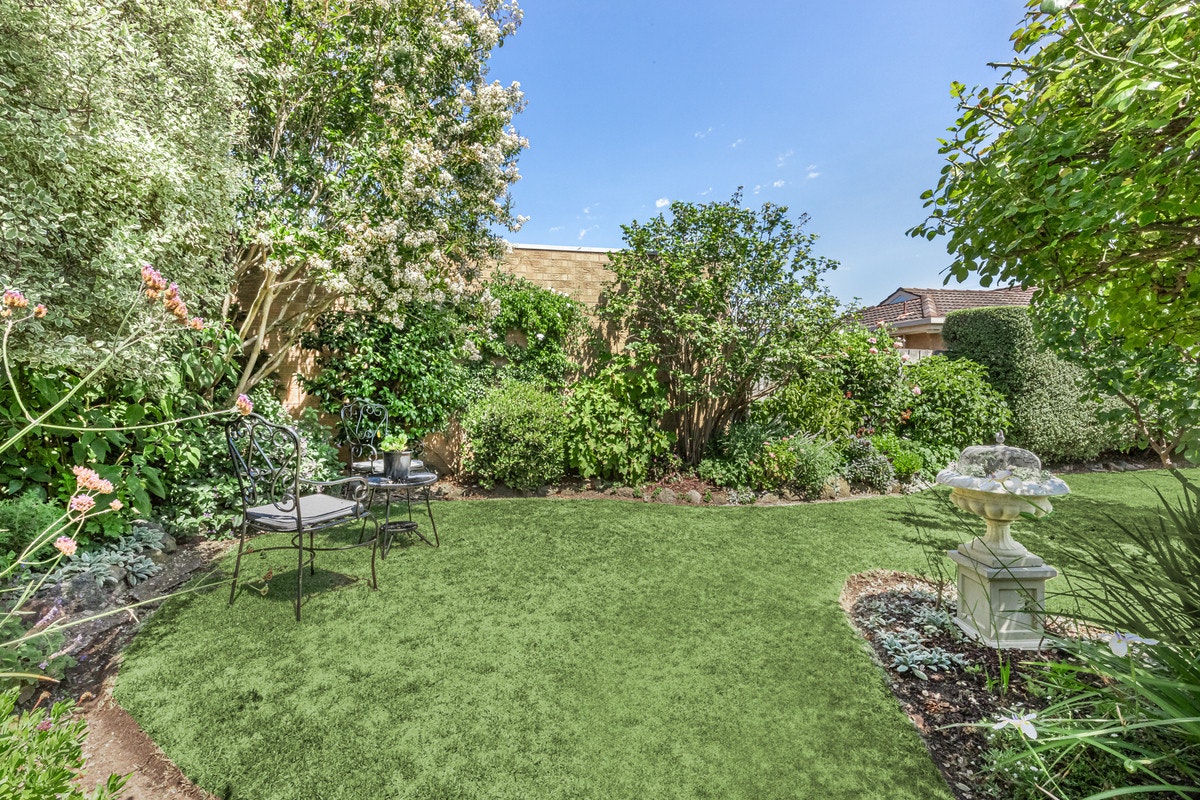 Image of backyard