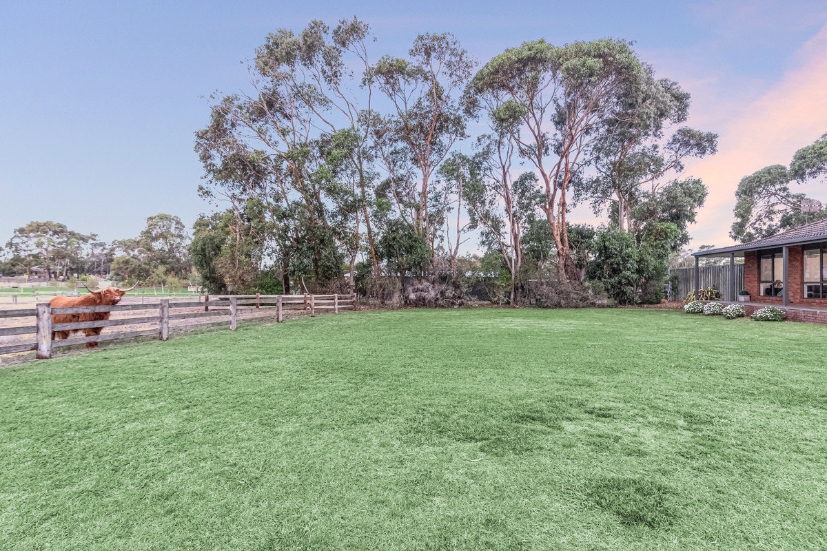 Image of grass