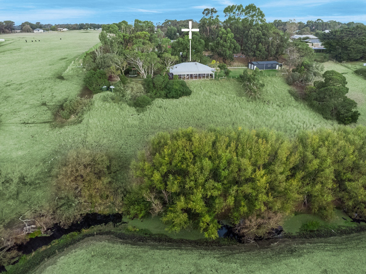 Image of vegetation