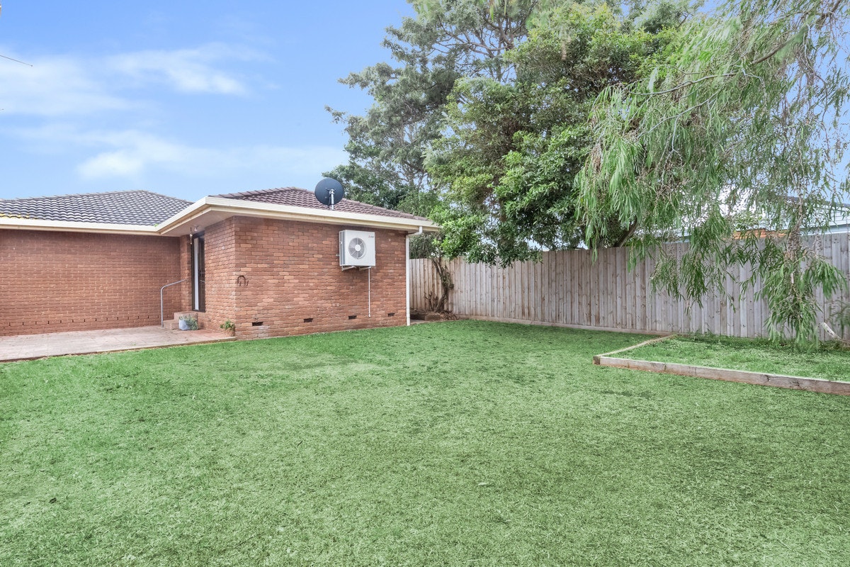 Image of backyard