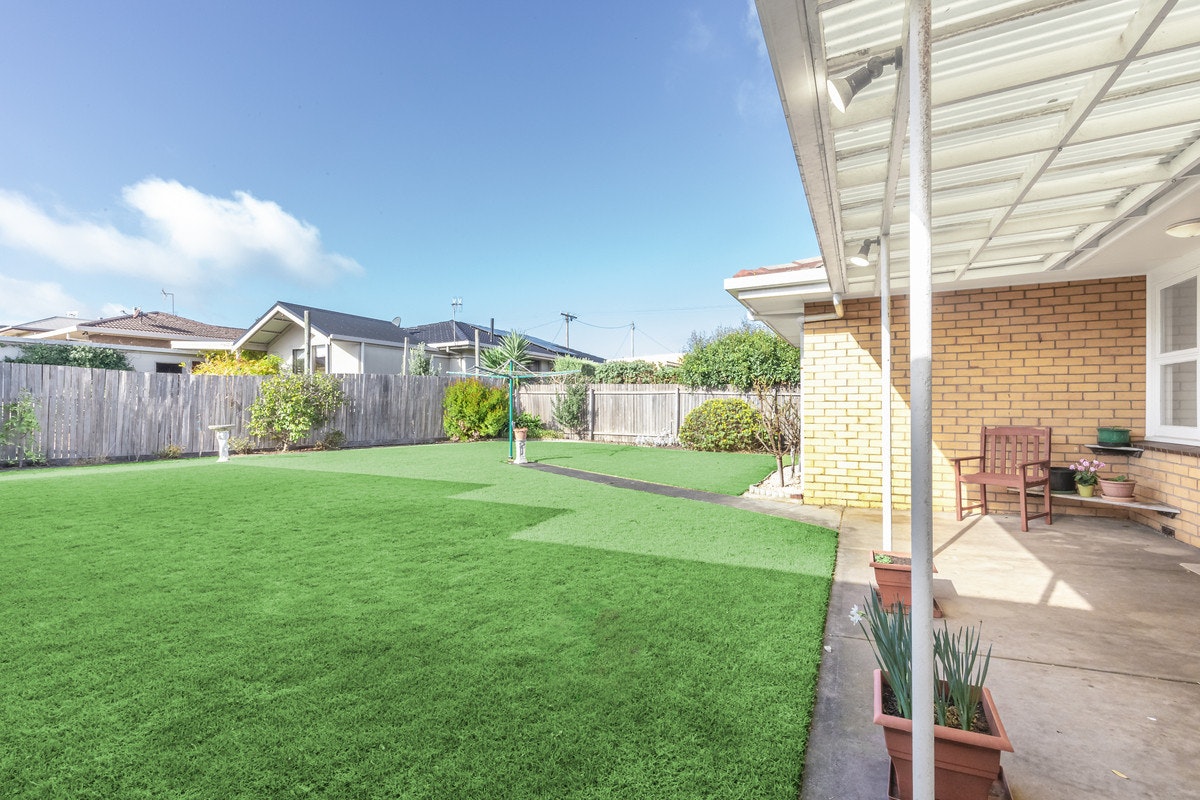 Image of backyard