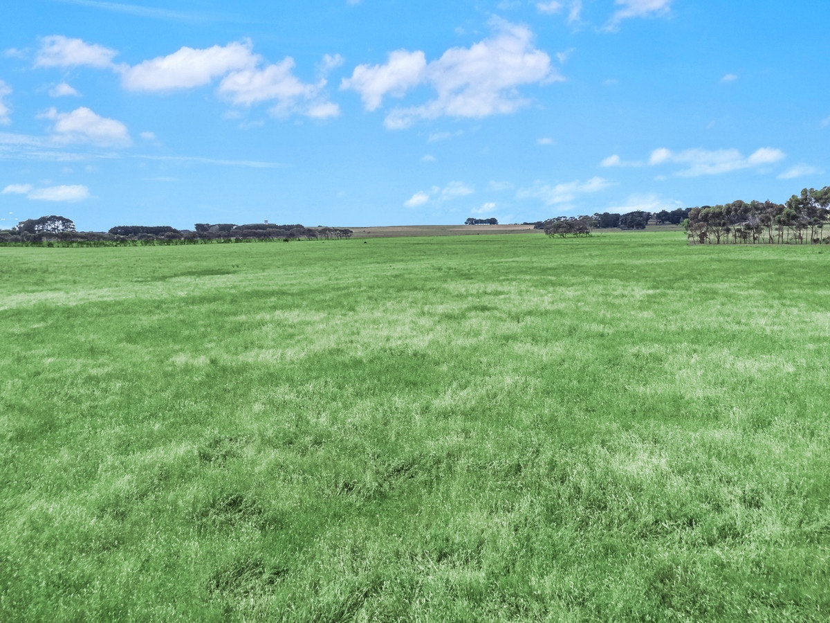 Image of ground