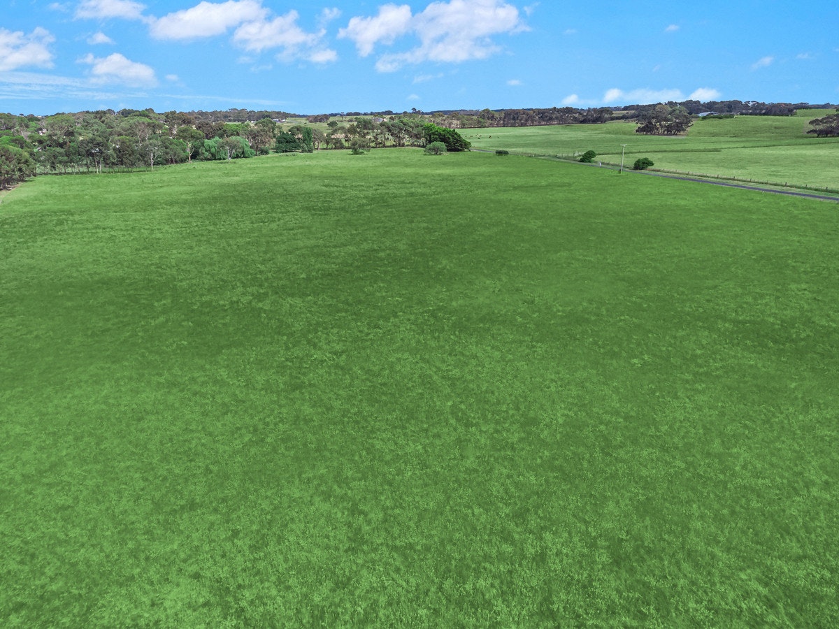 Image of grass