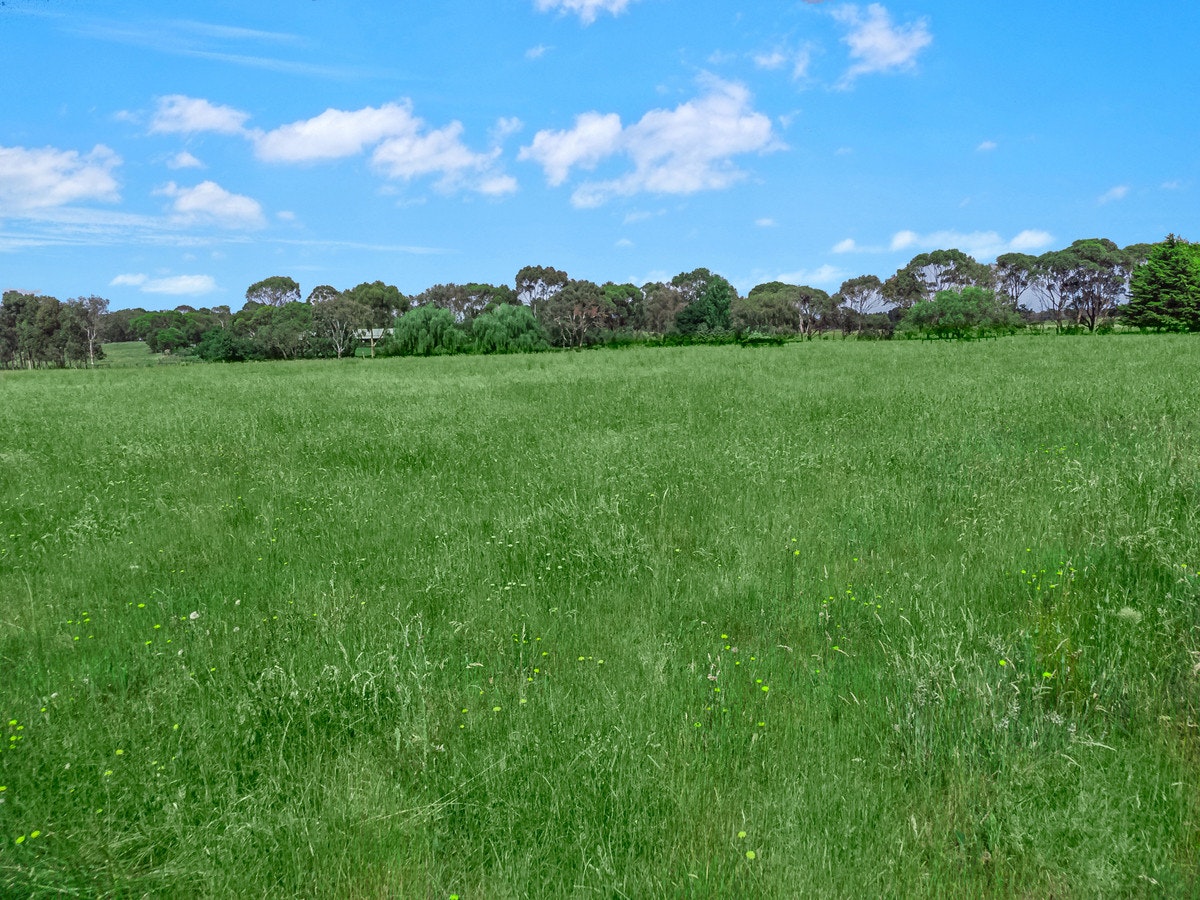 Image of grass