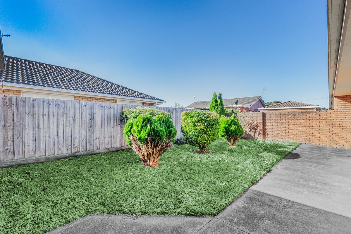 Image of backyard
