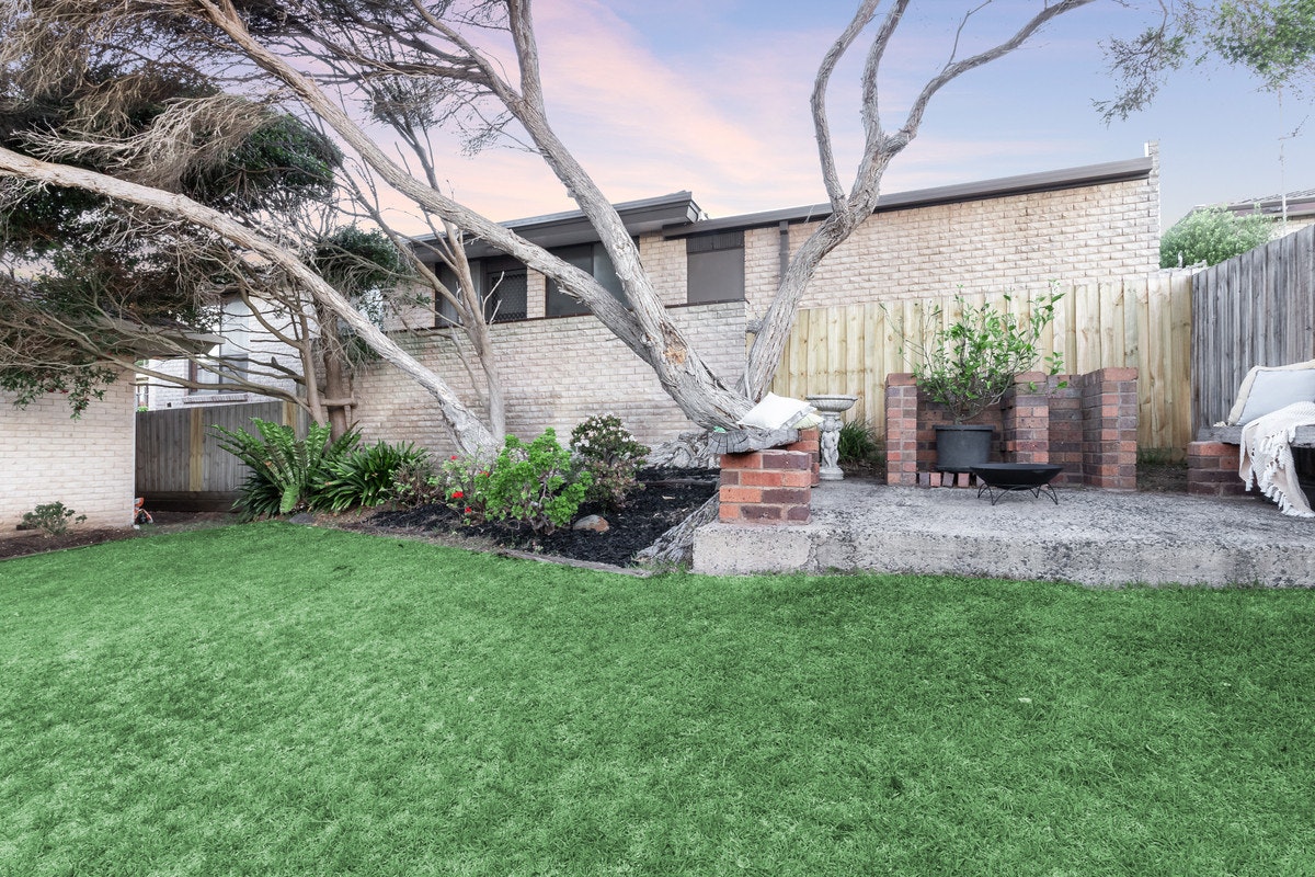 Image of backyard