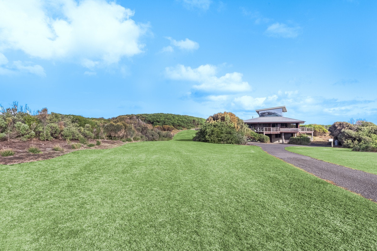 Image of grass