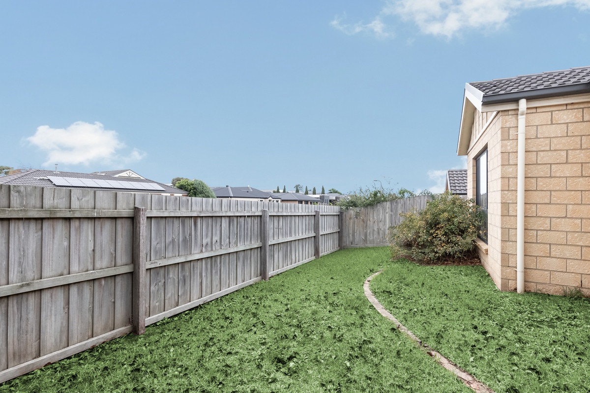Image of backyard