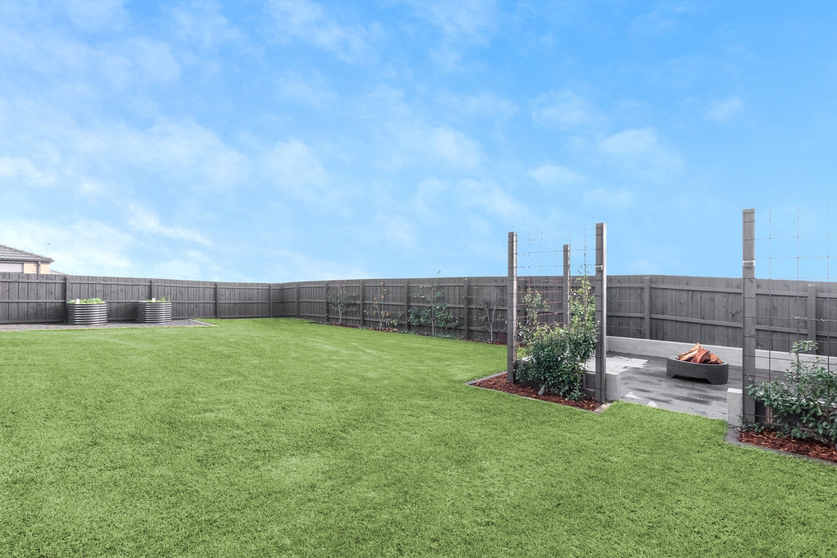 Image of backyard