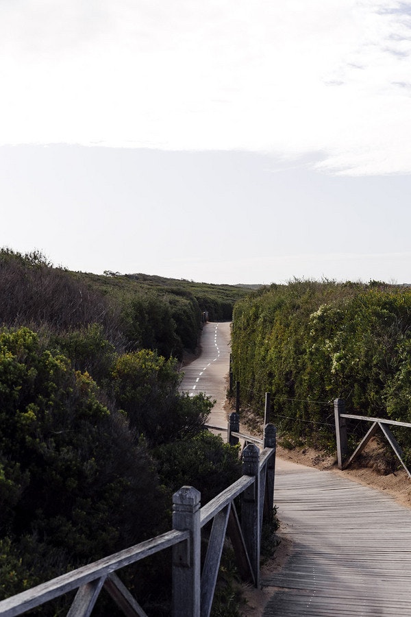 Image of path