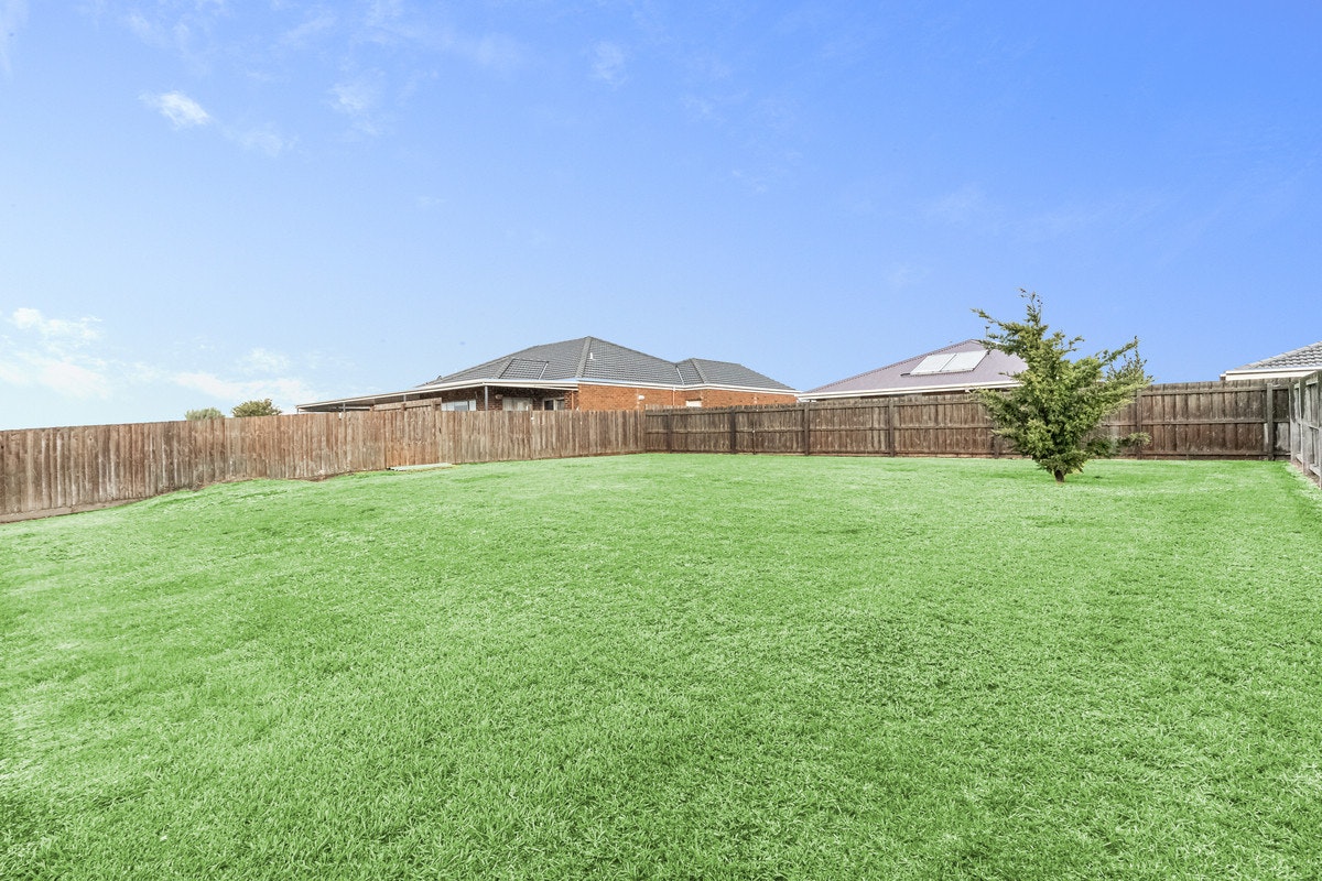 Image of backyard