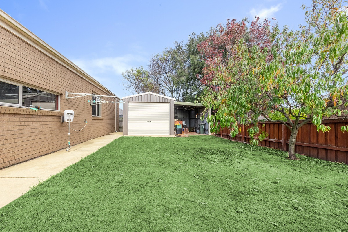Image of backyard