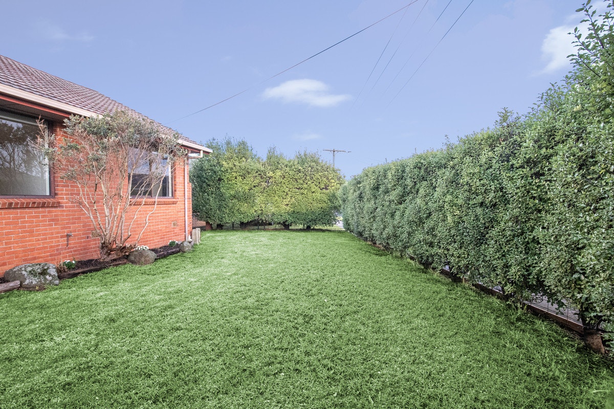 Image of backyard