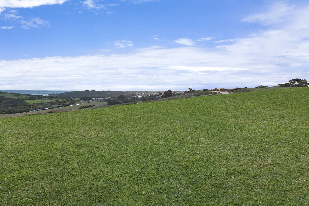Image of grass