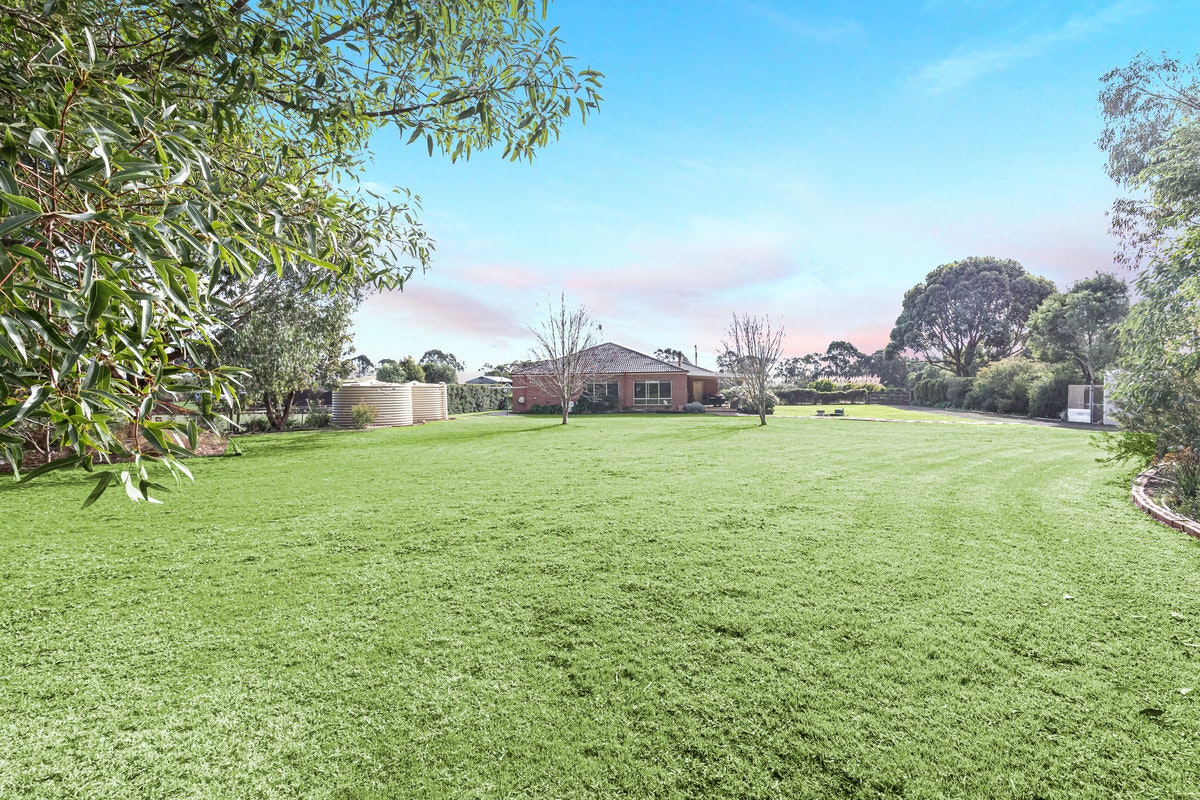 Image of grass