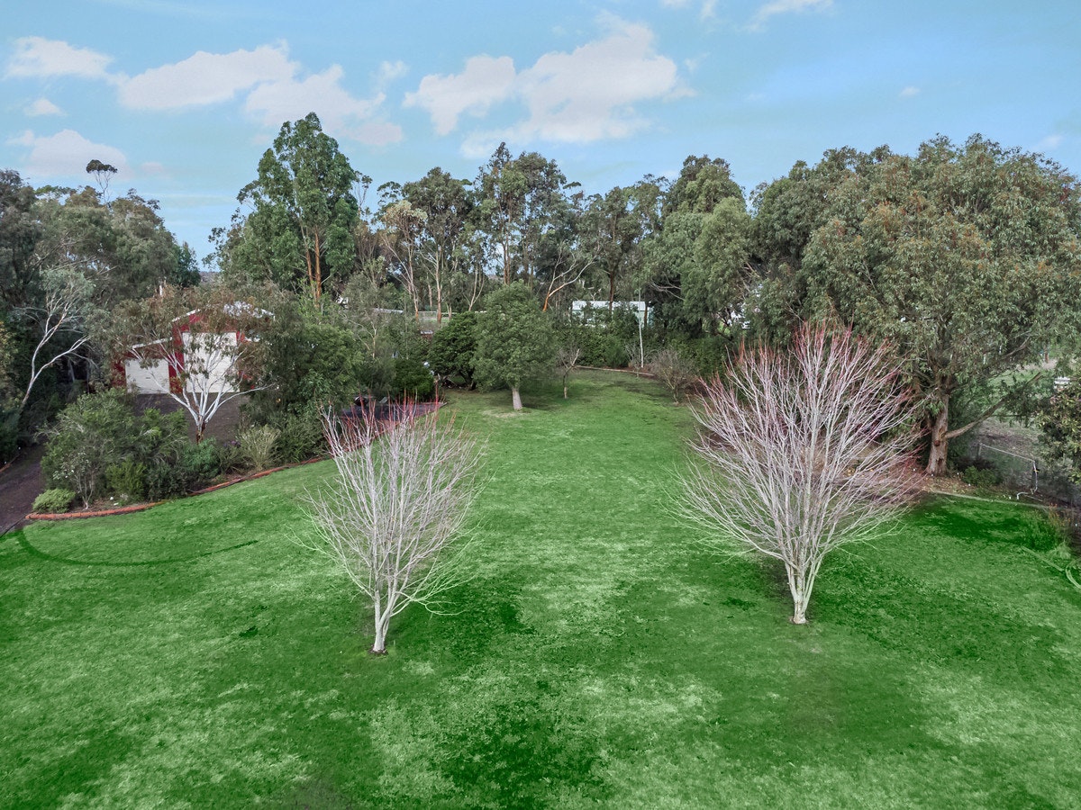 Image of grass