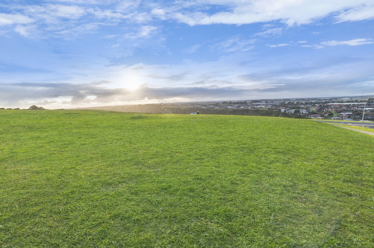 Image of grass