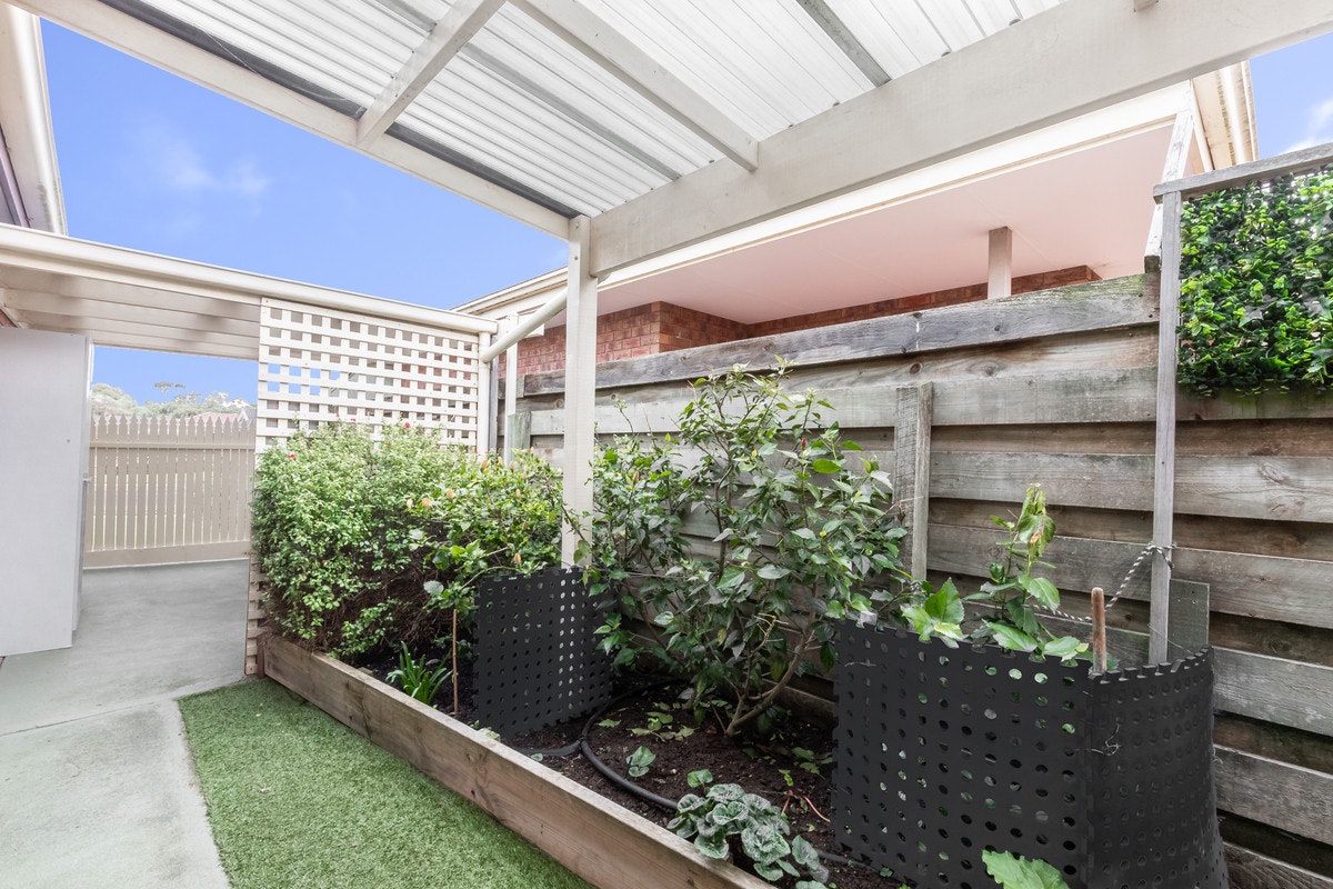 Image of garden