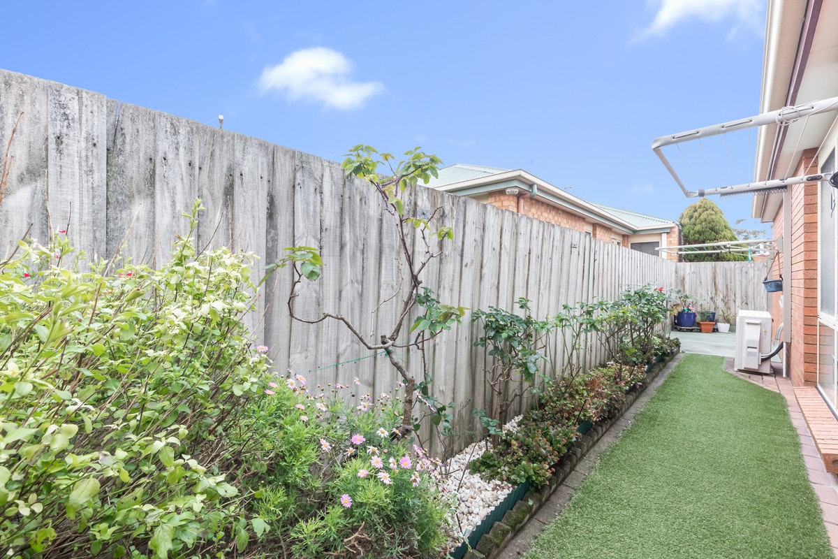 Image of backyard