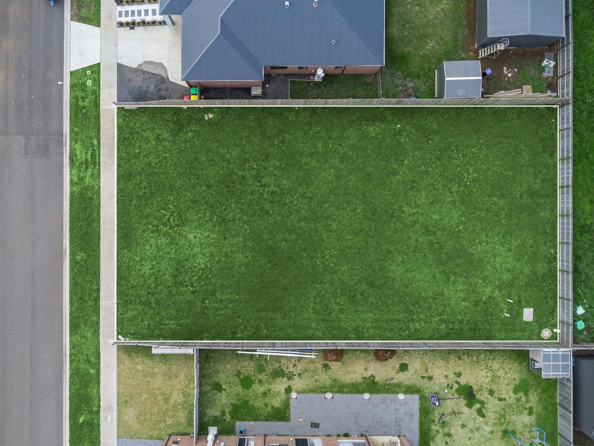Image of grass