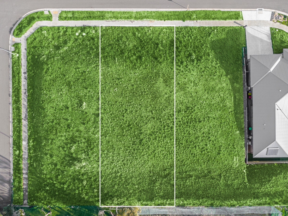 Image of grass