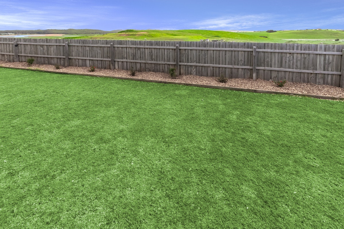 Image of backyard