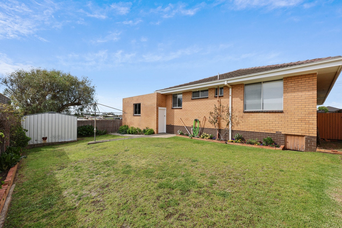 Image of backyard
