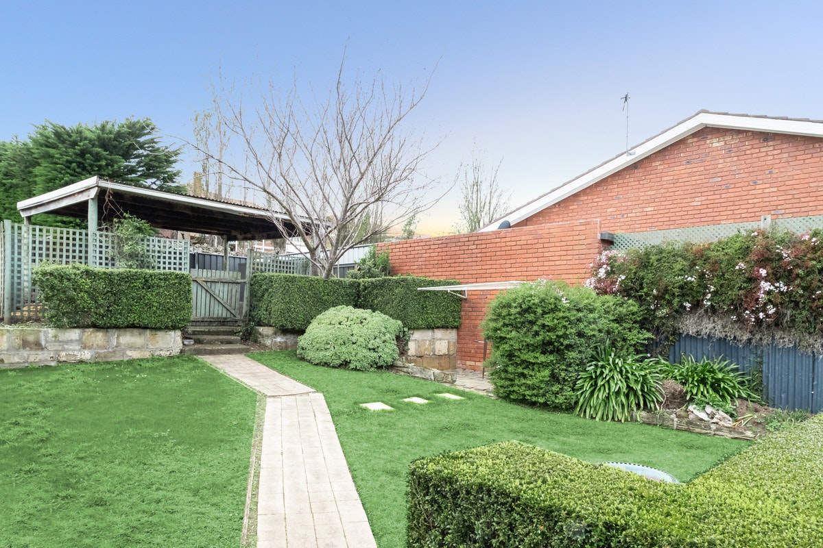 Image of backyard