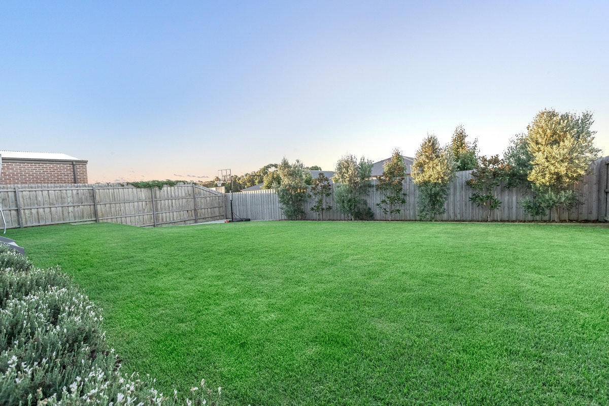 Image of backyard