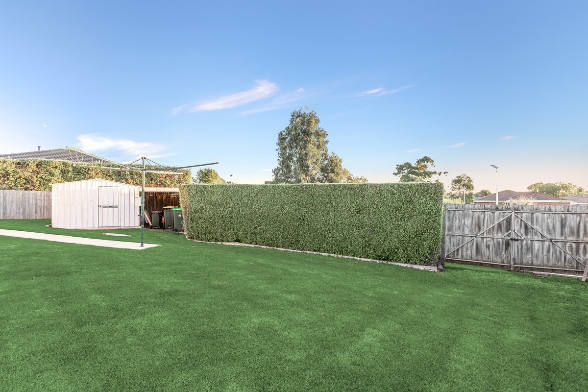 Image of backyard