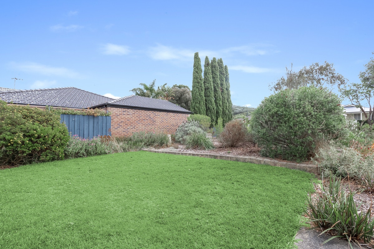 Image of grass
