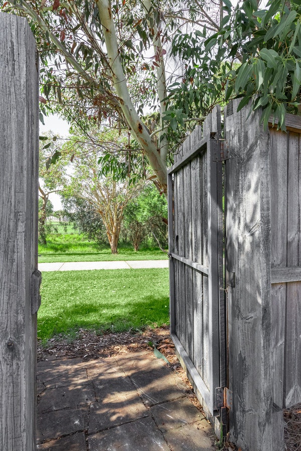 Image of backyard