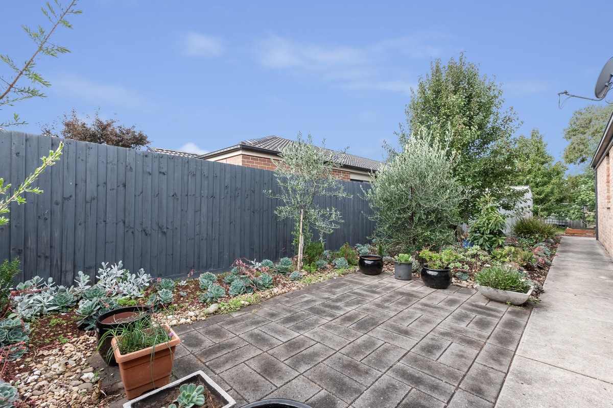 Image of backyard