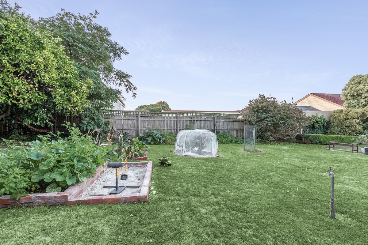 Image of backyard