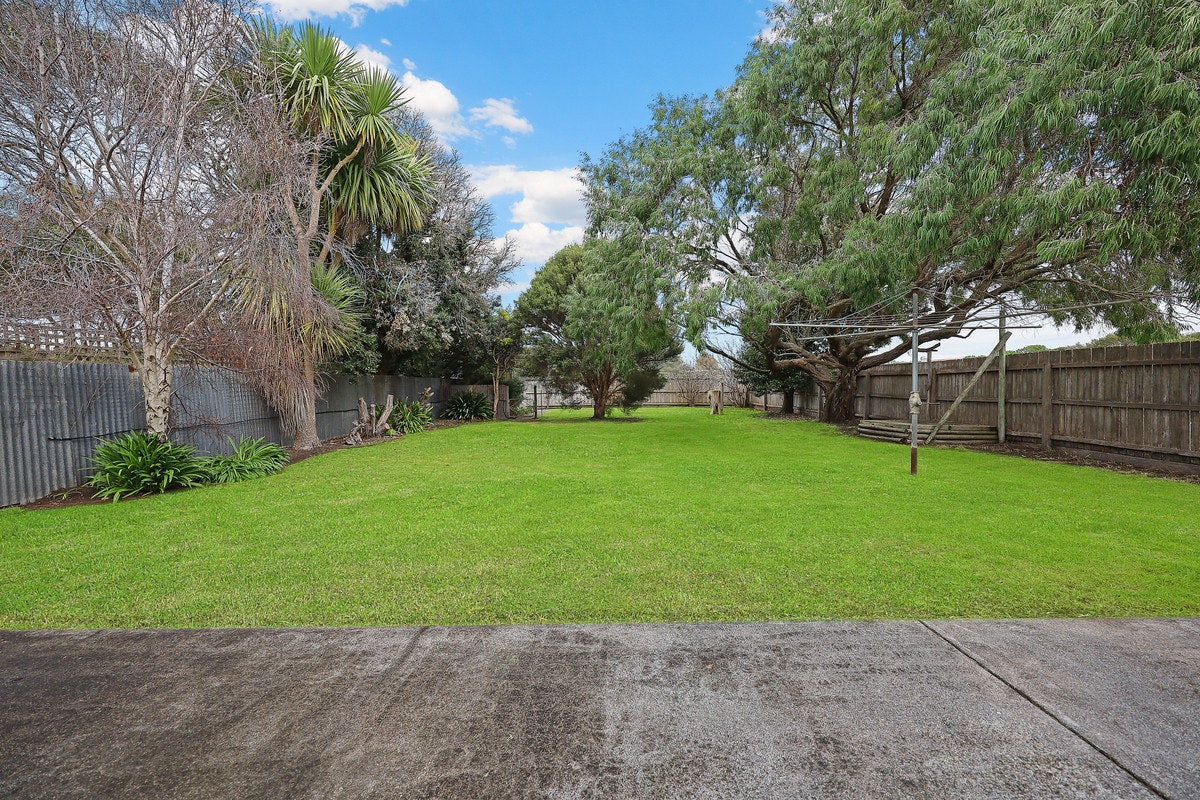 Image of backyard