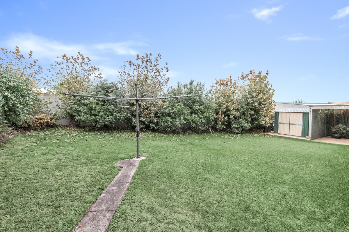 Image of backyard