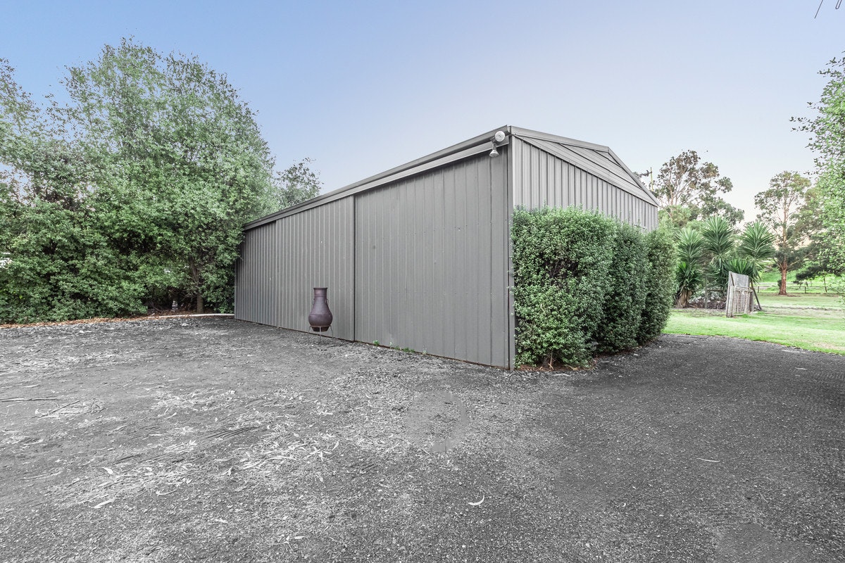 Image of backyard
