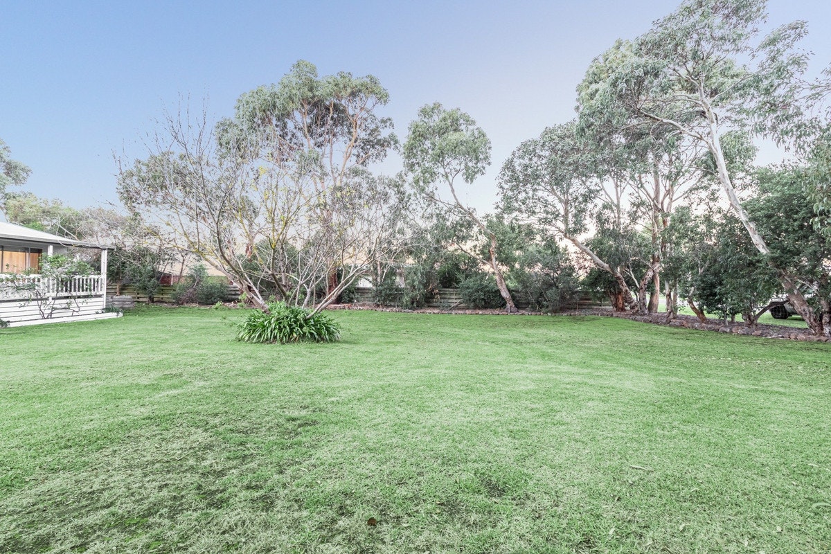 Image of grass