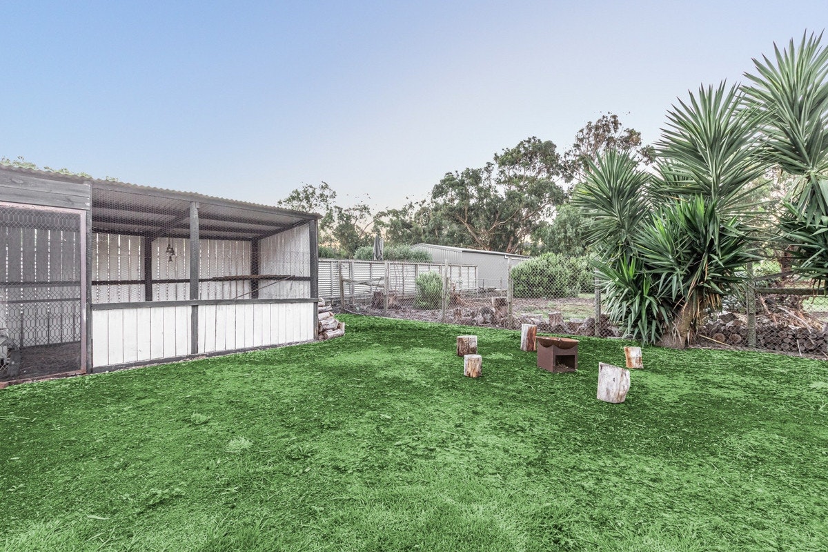 Image of backyard