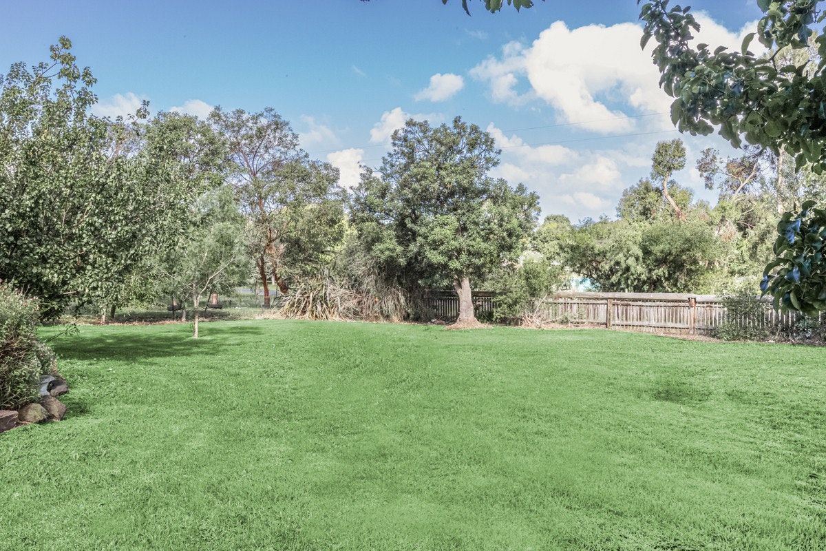 Image of grass