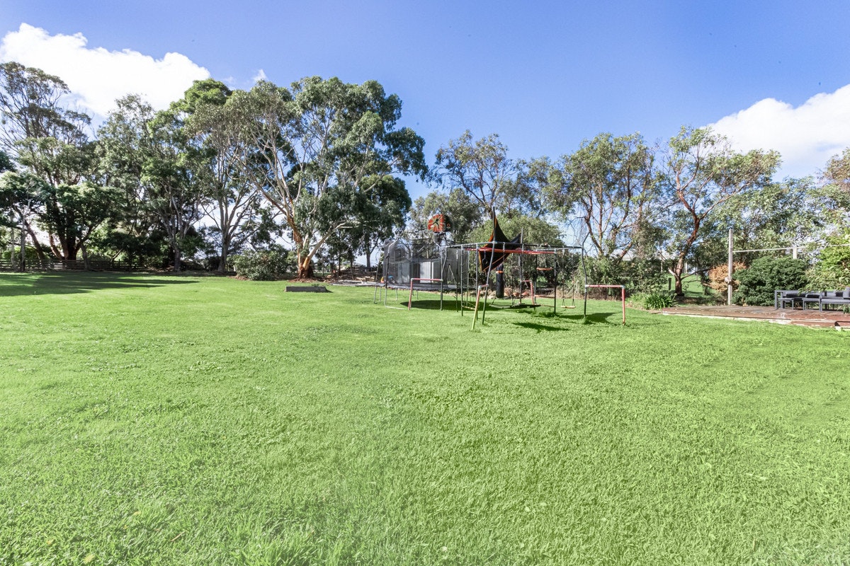Image of grass