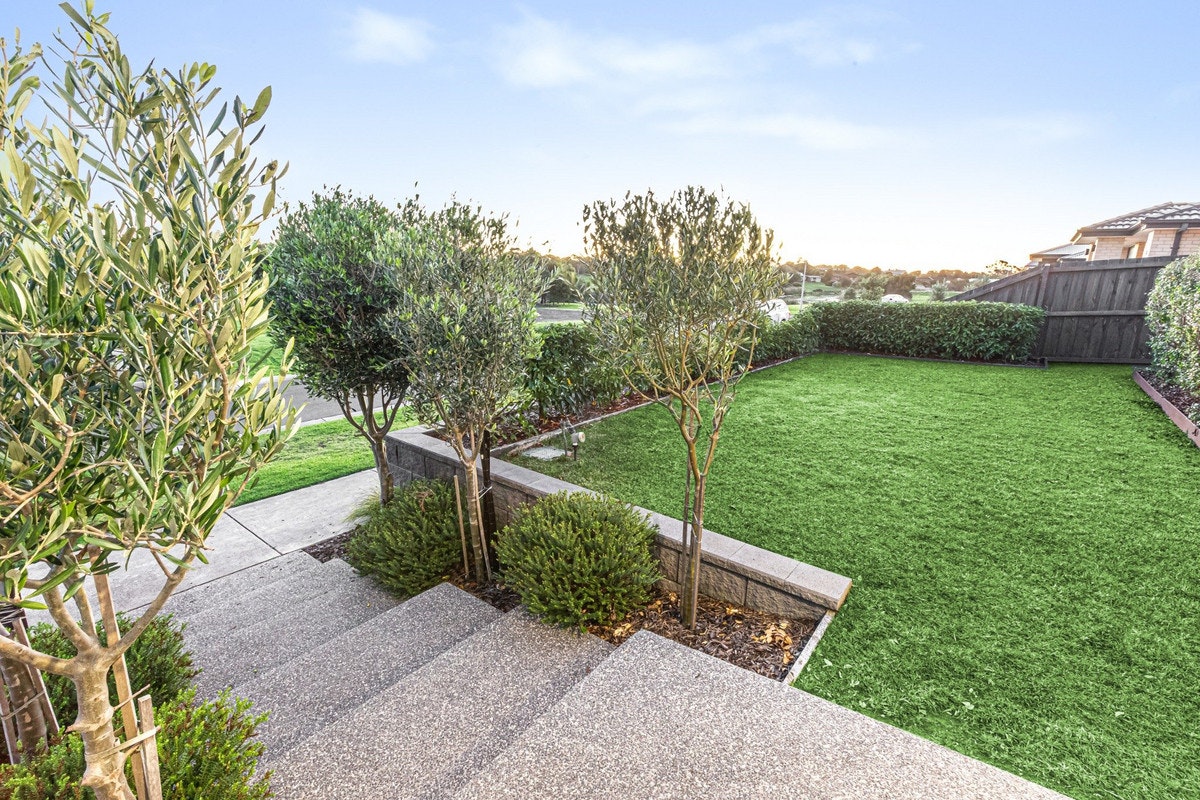 Image of backyard