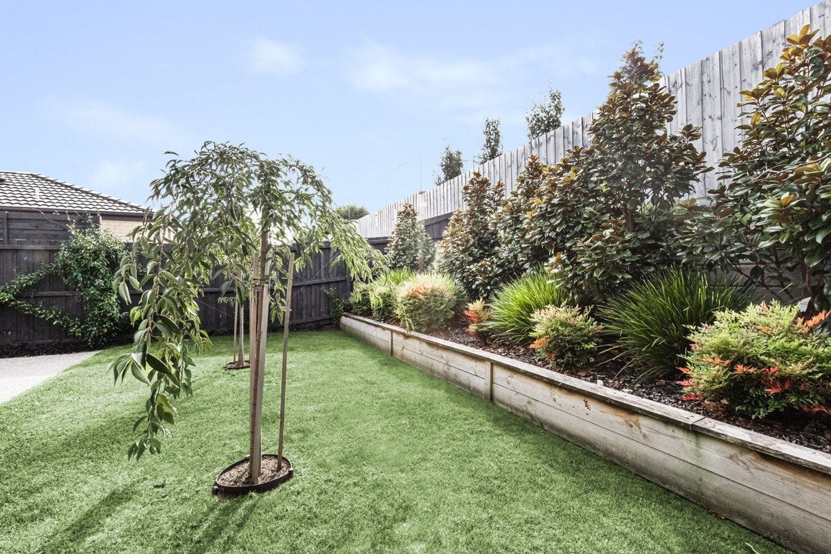 Image of backyard