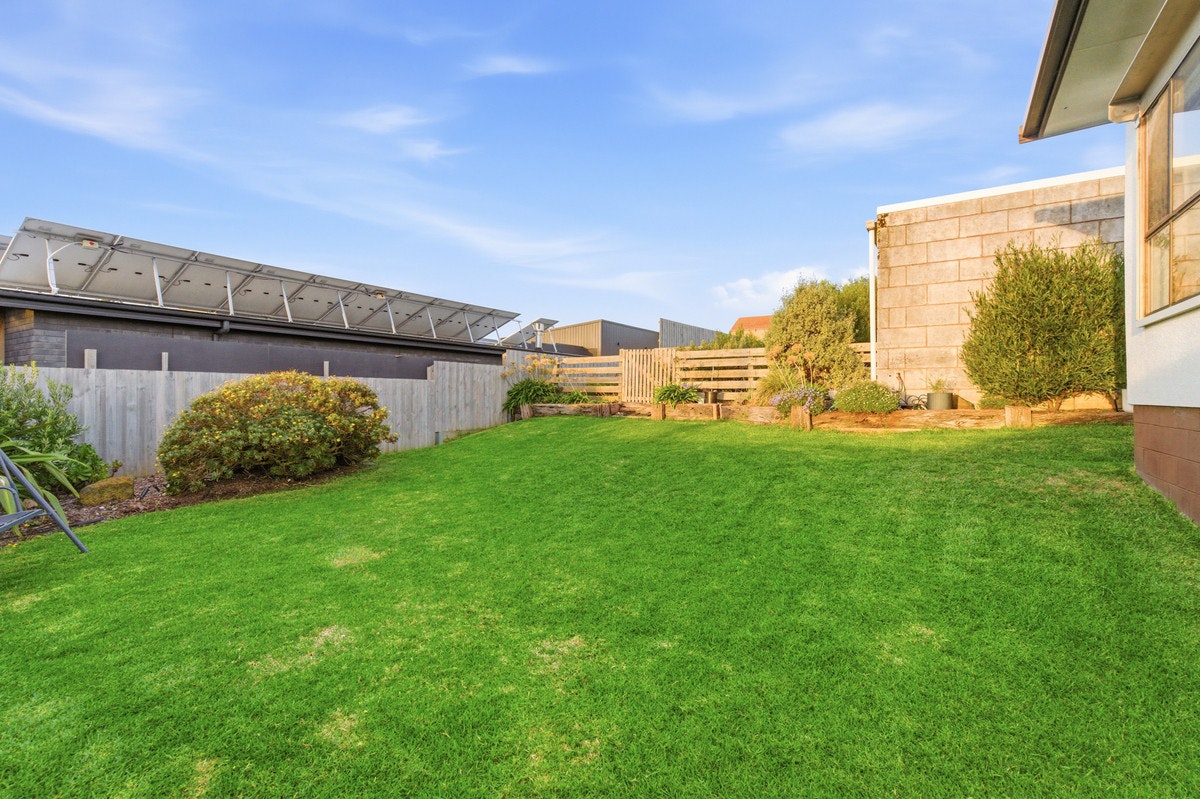 Image of backyard