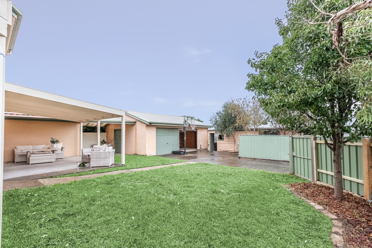 Image of backyard