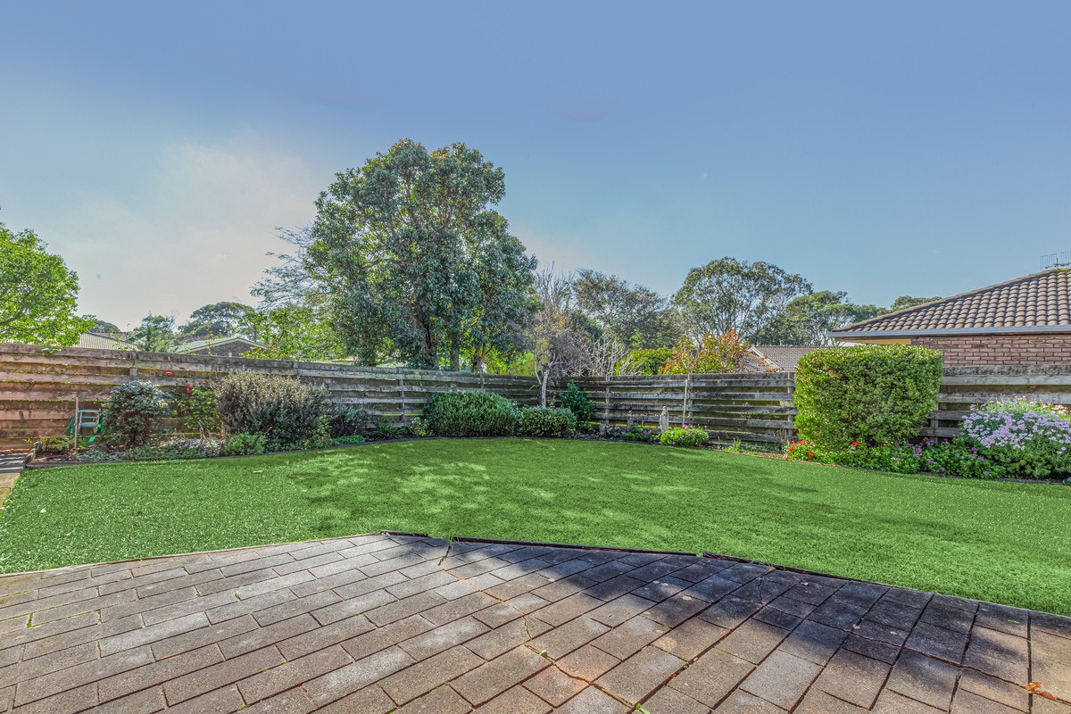 Image of backyard